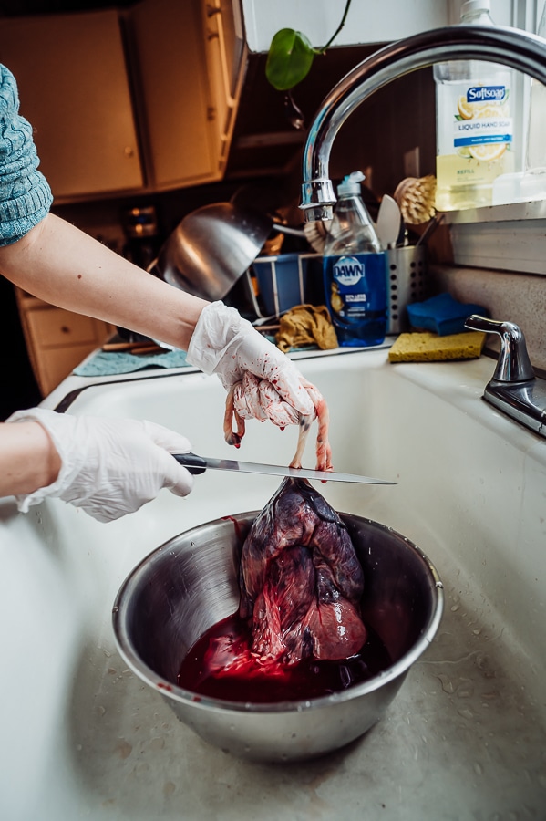 Woman cutting cord from placenta with knife