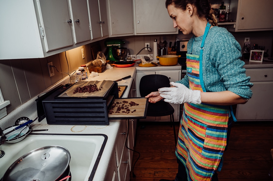 Loading placenta into dehydrator