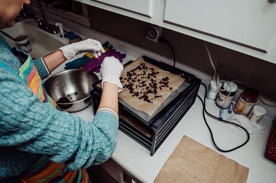 Dehydrated placenta pieces