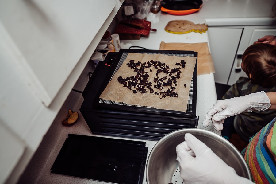 Dehydrated placenta pieces