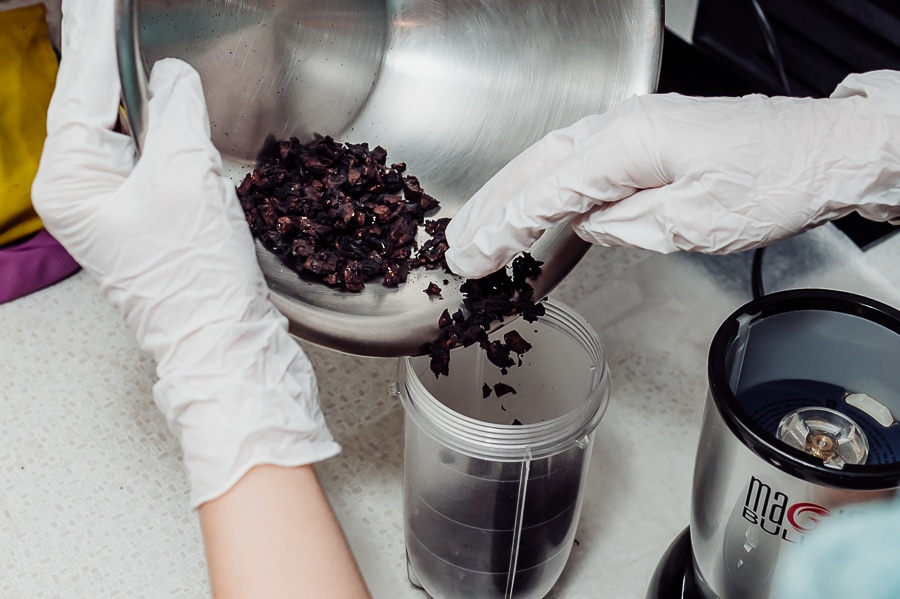 Dehydrated placenta pieces going into blender