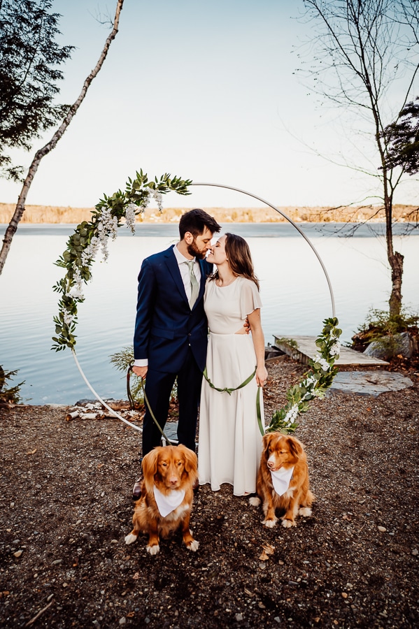 Bride and groom in front of moosehead lake with two dogs