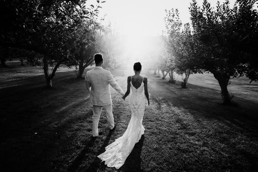 black and white image of bride and groom walking away holding hands through apple orchard