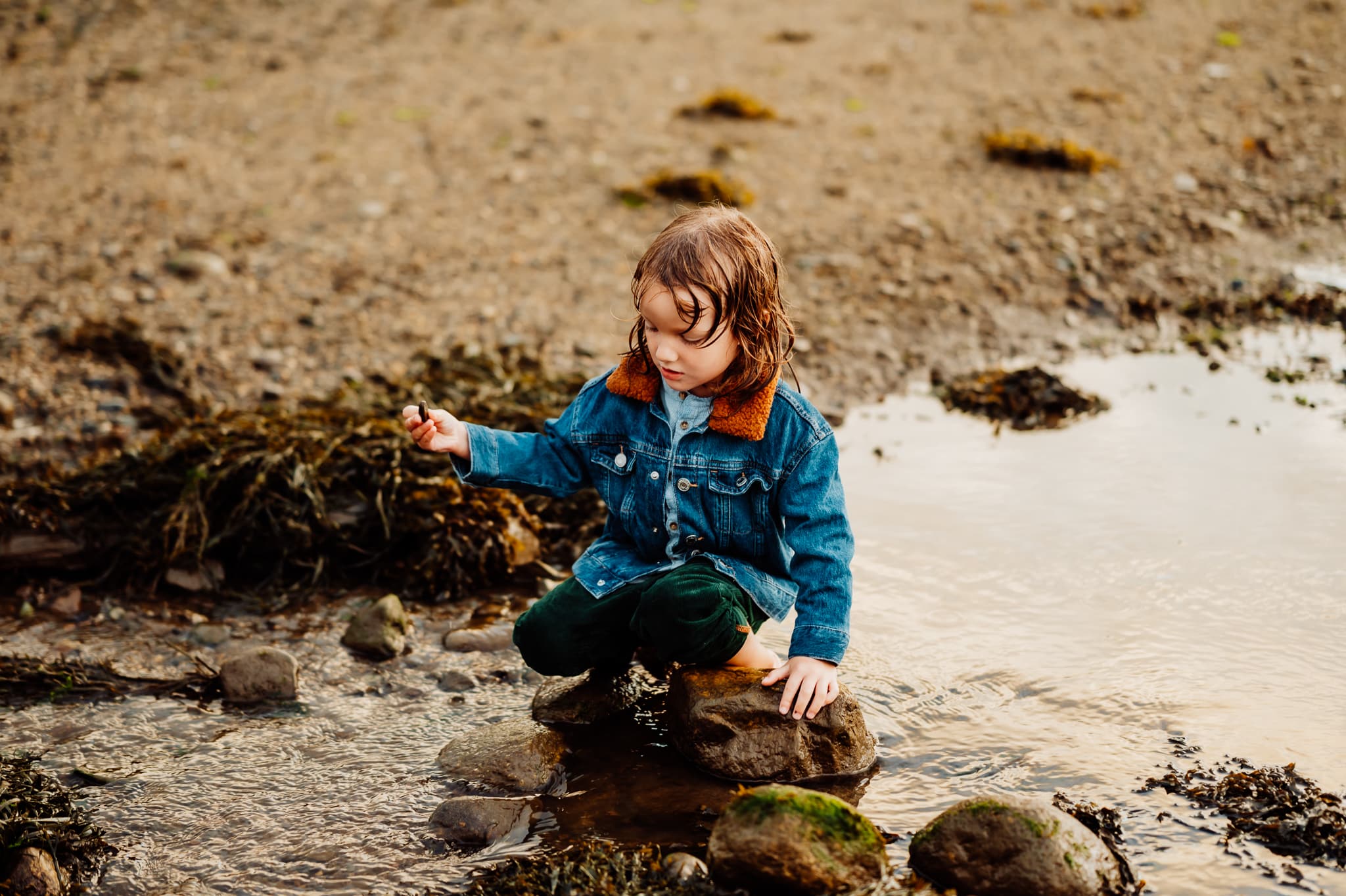 Little boy wearing jean jacket playing in tidal pools
