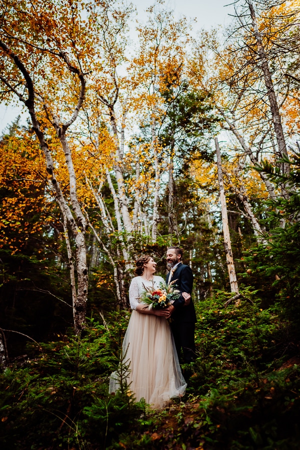 bride and groom in the woods with birch tree and yellow leaves
